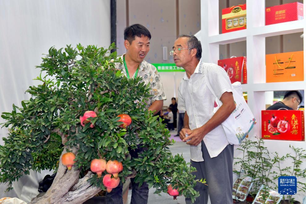威尼斯app官方下载彩金不断